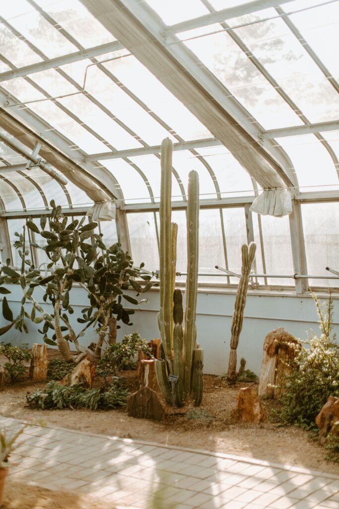 A greenhouse filled with lots of different types of plants