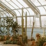 A greenhouse filled with lots of different types of plants